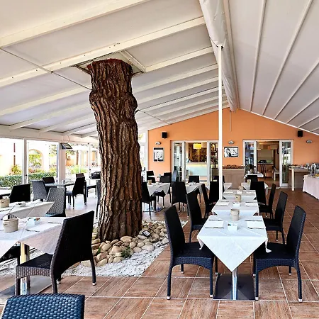 Bolgheri Marina מלון מרינה די ביבונה